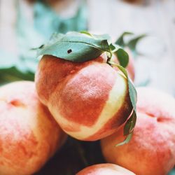 Close-up of peaches