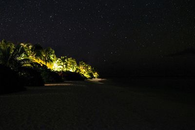 Trees against star field at night