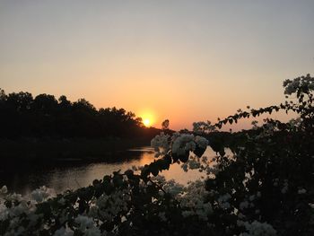 Scenic view of silhouette trees against sky during sunset