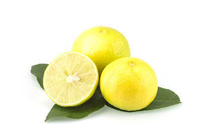 Close-up of oranges against white background