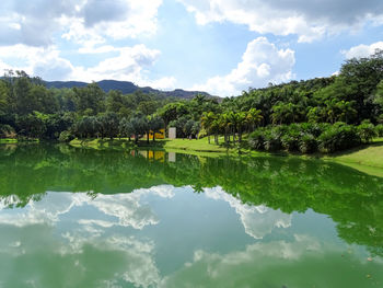 Scenic view of lake by trees against sky