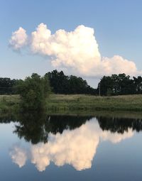 Reflection of trees in lake against sky