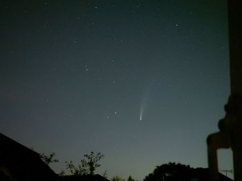 Low angle view of silhouette trees against clear sky at night