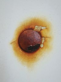 Close-up of bread in plate