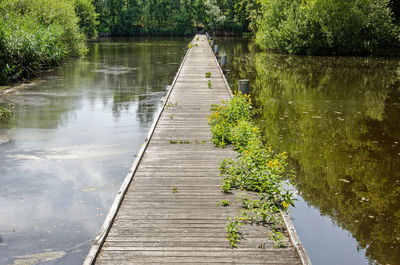 Wooden bridge, floating and partly overgrown, crossing a pond