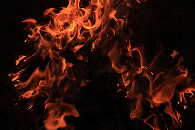 Close-up of bonfire at night