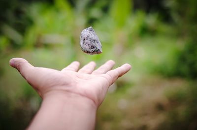 Close-up of hand holding bread