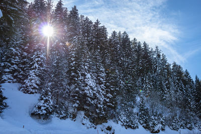 Sunlight falling on snow covered land against sky