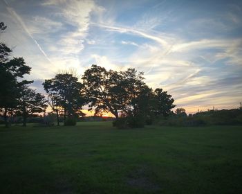 Scenic view of grassy field against sky