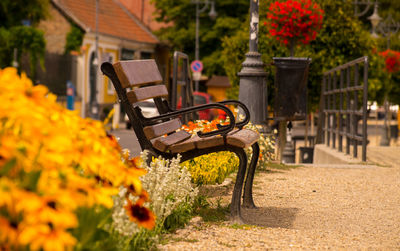 View of park bench in yard