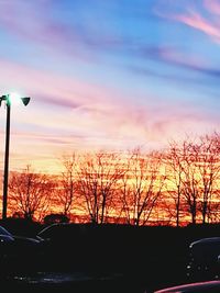 Silhouette of trees at sunset