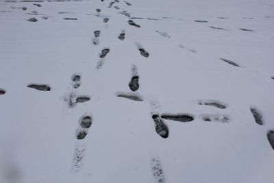 High angle view of footprints on snow covered land