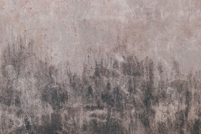 Full frame shot of wall