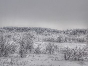 Scenic view of field against clear sky during winter