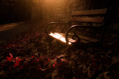 Illuminated flower at night