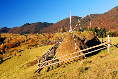 Tents on field against clear blue sky