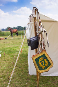 Horse cart on field against sky