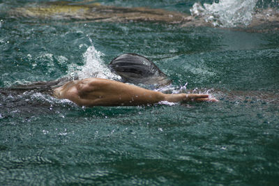 Man swimming in sea