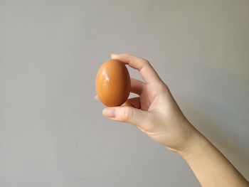 egg