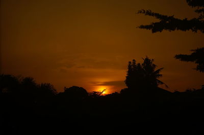 Silhouette trees against orange sky