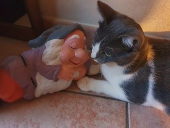 High angle view of cat resting on tiled floor