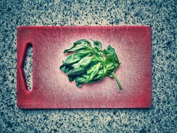 High angle view of vegetables on cutting board