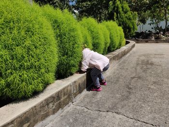 Rear view of woman walking on footpath