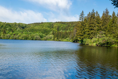 Scenic view of lake by trees against sky