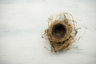 Directly above shot of empty bird nest on table