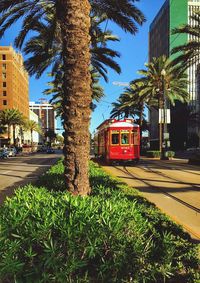 Trees by grass in city against sky
