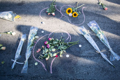 High angle view of flowers