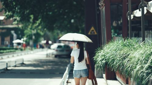 Rear view of woman walking outdoors