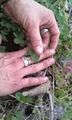 CLOSE-UP OF HAND