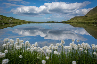 Scenic view of lake against cloudy sky