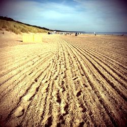 Scenic view of sandy beach