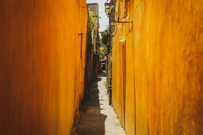 Narrow alley amidst buildings in city