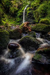 Stream flowing through rocks in forest