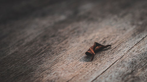 High angle view of dried leaves on wooden table