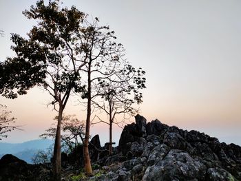 Silhouette rocks by trees against sky during sunset