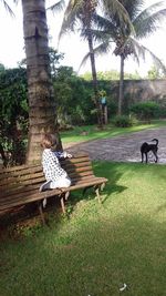 Empty bench in park