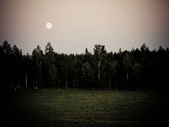 Trees on field against clear sky at night