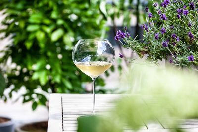 Close-up of wineglass on table