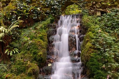 View of waterfall along lush foliage