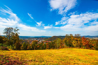 Scenic view of trees growing on field against sky