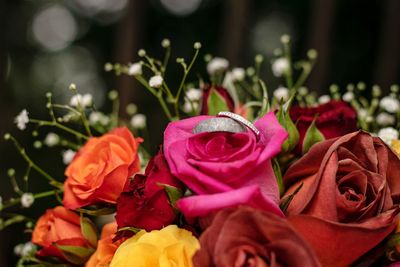 Close-up of rose bouquet