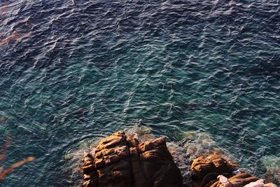 Close-up of rock in sea