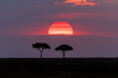 Silhouette trees on landscape against romantic sky at sunset