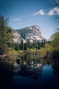 Scenic view of lake by trees against sky