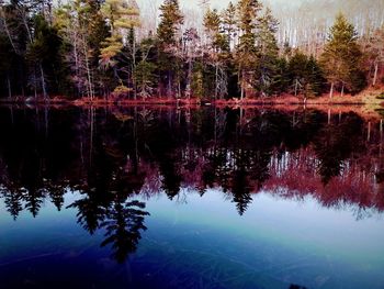 reflection