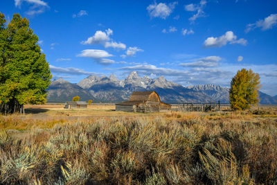 Scenic view of field against sky